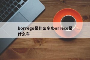 borrego是什么车/borreco是什么车