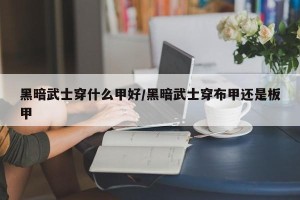黑暗武士穿什么甲好/黑暗武士穿布甲还是板甲